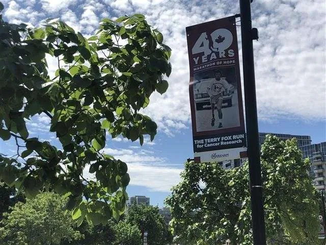 Markham Terry Fox banner – Markham Review