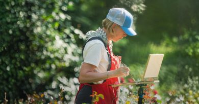 Make art in the park with Art Boxes