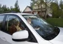 Squeezed at the pump, local drivers find relief in carpooling and public transit