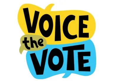 Voice the Vote sought to increase voter turnout