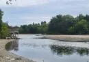 Toogood Pond partially drained for rehabilitation projects