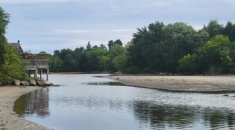 Toogood Pond partially drained for rehabilitation projects