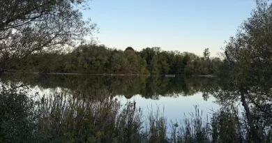 Candidates for Markham council show support for sustaining Markham’s biodiversity