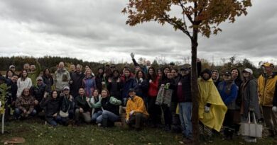 TD Tree Days spouting in Markham