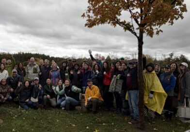 TD Tree Days spouting in Markham