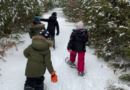 Discover nature at Bruce’s Mill Conservation Park